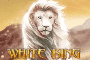Playtech : White King - STONEBET88